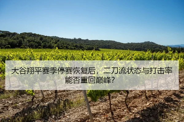 大谷翔平赛季停赛恢复后，二刀流状态与打击率能否重回巅峰？