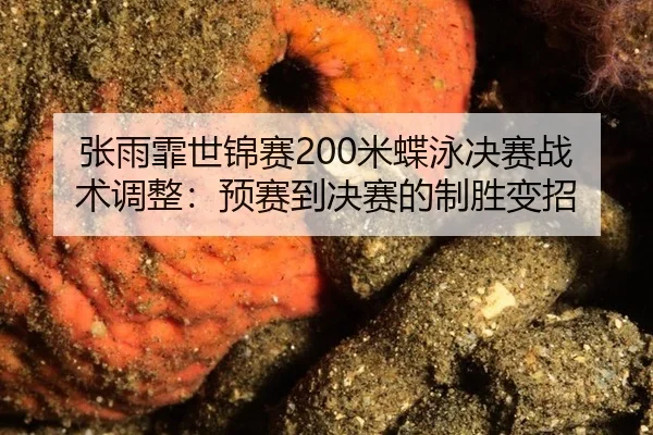 张雨霏世锦赛200米蝶泳决赛战术调整：预赛到决赛的制胜变招
